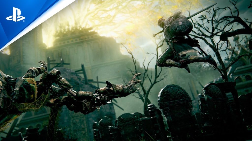 ELDEN RING video game