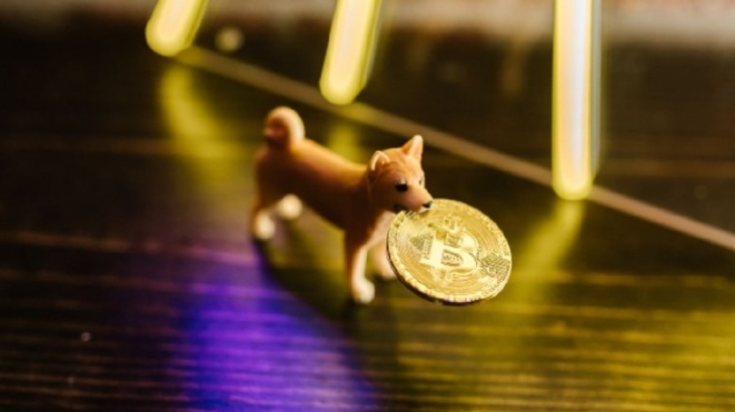 Shiba Inu surpasses Bitcoin and Ethereum and ranks as the most popular cryptocurrency in 2021 by the CoinMarketCap index